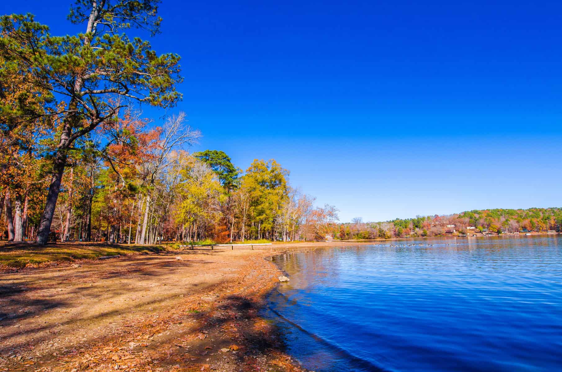 Lake Catherine State Park Visitor's Guide Essential Tips