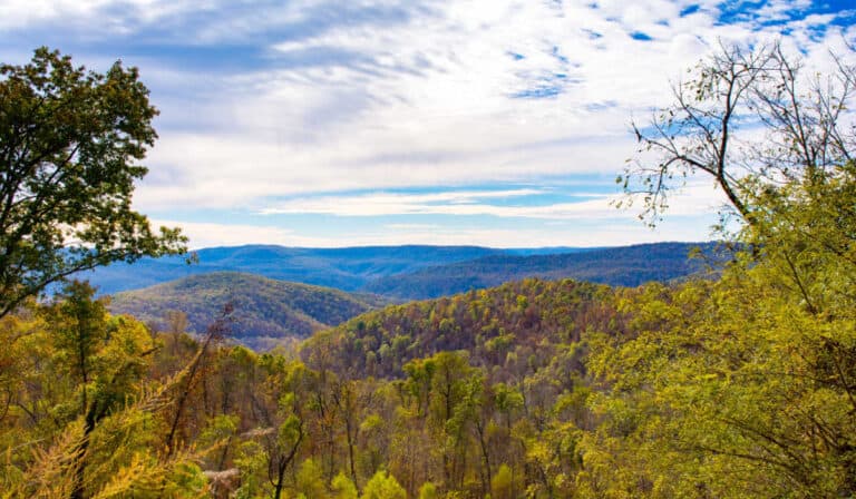 Ozark National Forest Visitor's Guide - Planning A Visit